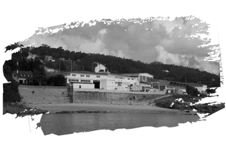 Mejillón Ecológico