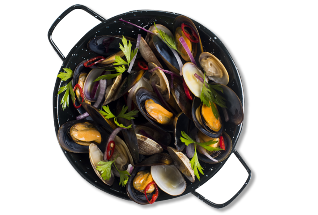 Mejillón Ecológico